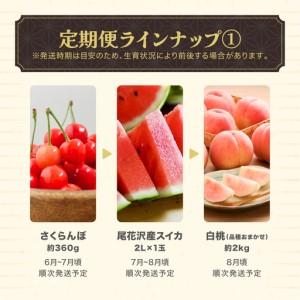 ふるさと納税 【先行予約】フルーツ定期便 全7...の詳細画像1