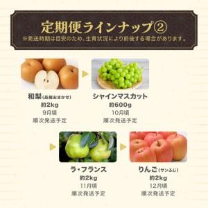 ふるさと納税 【先行予約】フルーツ定期便 全7...の詳細画像2
