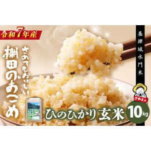 ふるさと納税 【令和7年産米】【基肄城水門米】さ...の商品画像