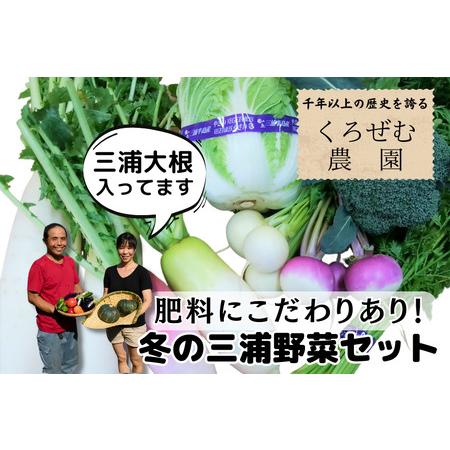 ふるさと納税 A13-004三浦の豊（みのり）！季節の野菜詰め合わせ（冬） 神奈川県三浦市