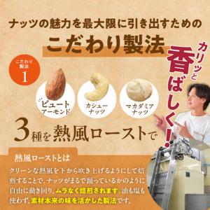 ふるさと納税 【定期便6回】ミックスナッツ4種...の詳細画像3