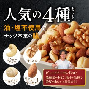 ふるさと納税 【定期便2回】ミックスナッツ4種...の詳細画像1