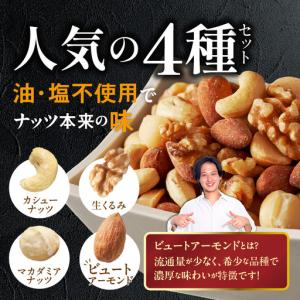 ふるさと納税 【定期便6回】ミックスナッツ4種...の詳細画像1