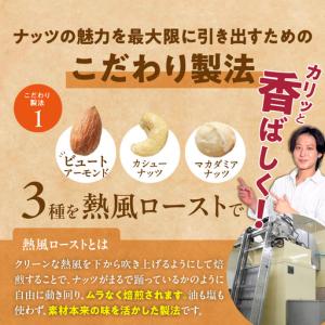 ふるさと納税 【定期便6回】ミックスナッツ4種...の詳細画像3