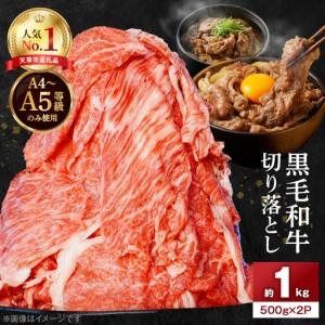 ふるさと納税 S001-001A_A4〜A5等級 黒毛和牛 切り落とし 1kg（500g×2P） 熊...