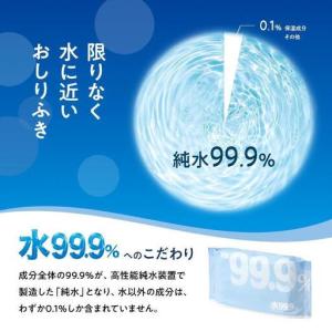 ふるさと納税 おしりふき 水99.9% ふんわ...の詳細画像1