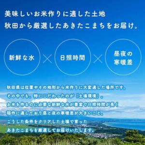 ふるさと納税 《定期便9ヶ月》あきたこまち 2...の詳細画像4