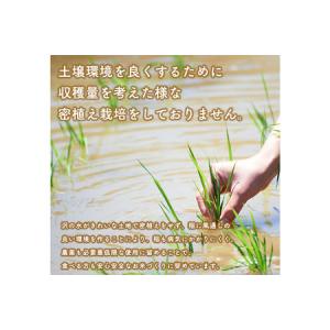 ふるさと納税 《定期便12ヶ月》あきたこまち ...の詳細画像2