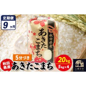ふるさと納税 《定期便9ヶ月》あきたこまち 20kg【5分づき】令和7年産 秋田県産 こまちライン 秋田県横手市