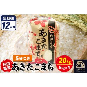 ふるさと納税 《定期便12ヶ月》あきたこまち 20kg【5分づき】令和7年産 秋田県産 こまちライン 秋田県横手市