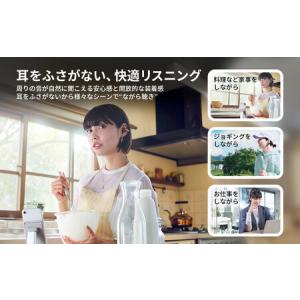 ふるさと納税 Victor 完全ワイヤレスイヤ...の詳細画像3