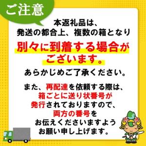 ふるさと納税 アクエリアス 500mlPET ...の詳細画像3