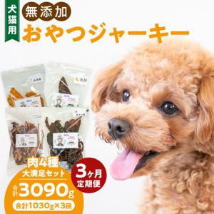 ふるさと納税 【3ヶ月定期便】【大満足セット】犬...の商品画像