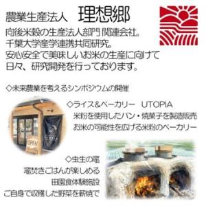 ふるさと納税 【令和8年産・新米】理想郷 ミル...の詳細画像3