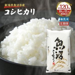 ふるさと納税 【定期便：雪国逸品 無洗米10kg×12ヶ月】越後魚沼郷 魚沼産コシヒカリ 新潟県魚沼市