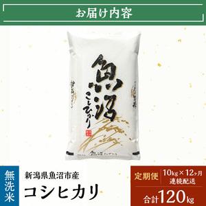ふるさと納税 【定期便:雪国逸品 無洗米10k...の詳細画像4