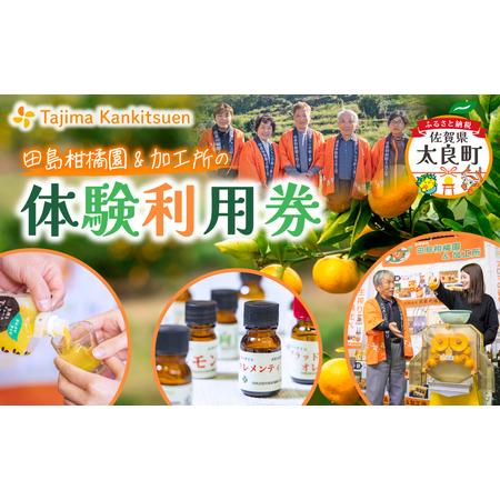 ふるさと納税 田島柑橘園&amp;加工所の体験利用券(2名)　体験 チケット 利用券 佐賀県 太良町 P12...