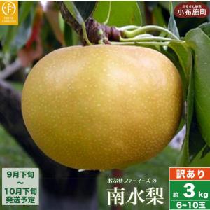 ふるさと納税 【訳あり】南水 約3kg 6〜10玉 [おぶせファーマーズ] 梨 なし フルーツ 果物 ワケアリ 傷 キズ 不揃い 規格外 家庭用 クール便.. 長野県小布施町