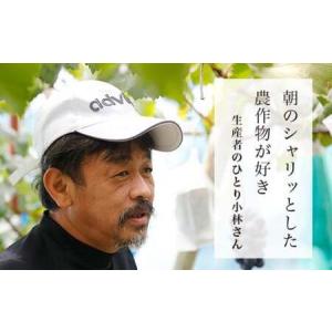 ふるさと納税 【訳あり】南水 約3kg 6〜1...の詳細画像3