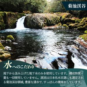 ふるさと納税 美味益気寿すっぽんスープ190g...の詳細画像3