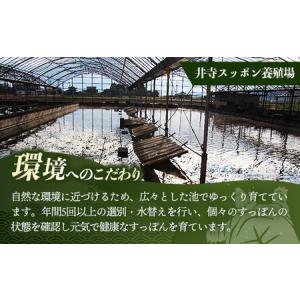 ふるさと納税 麻布小銭屋すっぽんスープ190g...の詳細画像2