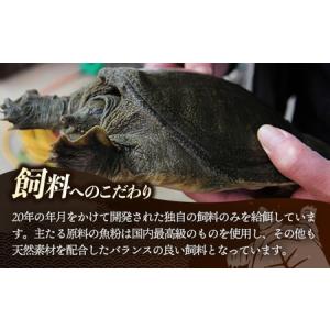 ふるさと納税 麻布小銭屋すっぽんスープ190g...の詳細画像4