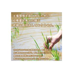 ふるさと納税 《定期便12ヶ月》 あきたこまち...の詳細画像2