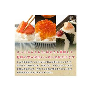 ふるさと納税 《定期便12ヶ月》 あきたこまち...の詳細画像4