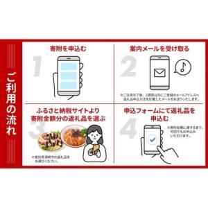 ふるさと納税 【あとから選べるカタログ】寄附5...の詳細画像2
