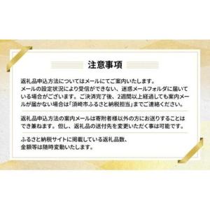 ふるさと納税 【あとから選べるカタログ】寄附5...の詳細画像4
