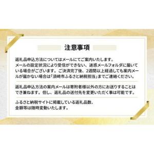 ふるさと納税 【あとから選べるカタログ】寄附3...の詳細画像4