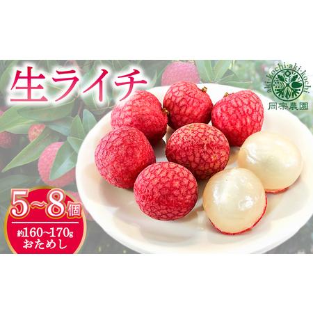 ふるさと納税 国産ライチ お試し160〜170g【ライチ】 高知県安芸市