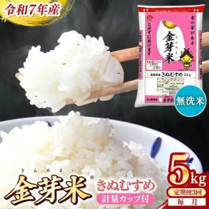 ふるさと納税 【定期便】BG無洗米・金芽米きぬむ...の商品画像