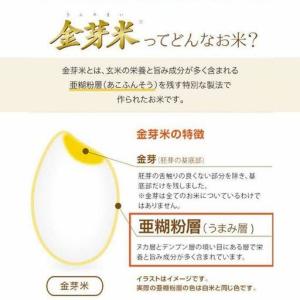 ふるさと納税 【定期便】BG無洗米・金芽米きぬ...の詳細画像2