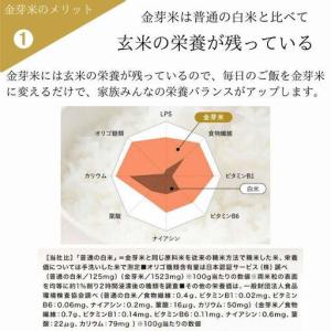 ふるさと納税 【定期便】BG無洗米・金芽米きぬ...の詳細画像3