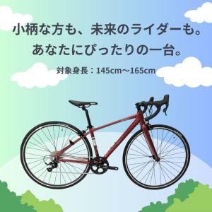 ふるさと納税 TAMON ロードバイク キャン...の詳細画像1