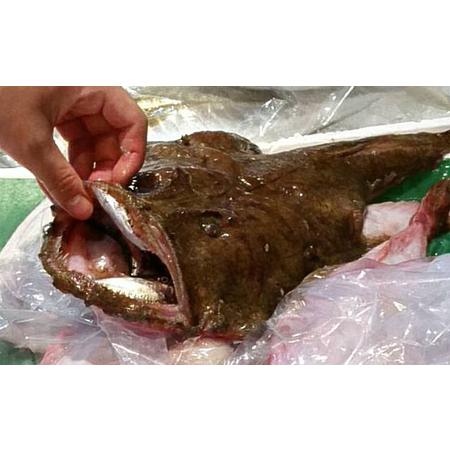 ふるさと納税 鮮度抜群！魚屋のアンコウ 魚介類 鍋セット 海鮮鍋 切り身 1kg 新鮮  海鮮 ギフ...