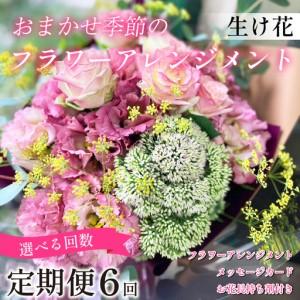 ふるさと納税 季節の 花 フラワーアレンジメント 定期便 6回 花 徳島県小松島市