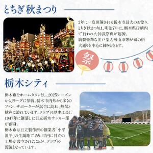 ふるさと納税 オンパックス貼るくつ下用 黒 (...の詳細画像2
