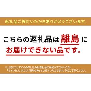 ふるさと納税 PGガーゼ 夏スモックワンピース...の詳細画像1