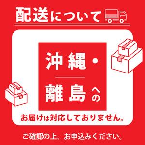 ふるさと納税 【開梱・設置】3名掛け FERN...の詳細画像4