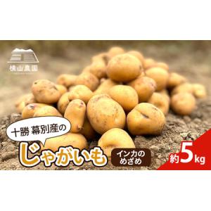 ふるさと納税 先行予約/2026年秋発送 北海道 十勝 幕別産 じゃがいも インカのめざめ 約5kg【横山農園】  野菜 根菜 フライドポテト ポテトチッ.. 北海道幕別町