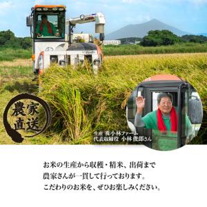 ふるさと納税 精米 5kg 令和8年産 にじの...の詳細画像2