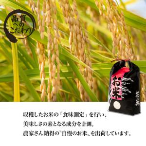 ふるさと納税 精米 10kg 令和8年産 にじ...の詳細画像3