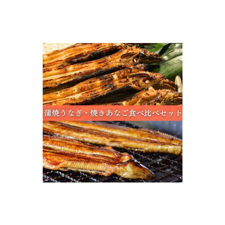 ふるさと納税 焼きあなご1串・蒲焼きうなぎ1尾食べ比べセット 兵庫県神戸市