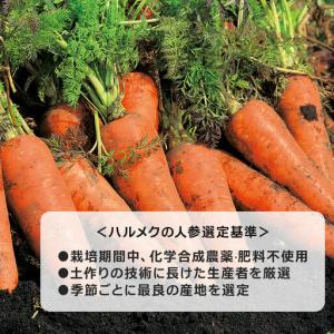 ふるさと納税 《定期便12ヶ月》ハルメク 人参...の詳細画像2