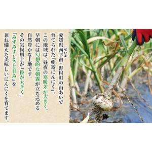 ふるさと納税 <西予市産 朝霧にんにく(乾燥小...の詳細画像2