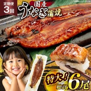 ふるさと納税 【定期便3回】 うなぎ 蒲焼 国産...の商品画像