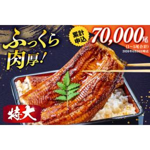 ふるさと納税 【定期便3回】 うなぎ 蒲焼 国...の詳細画像2
