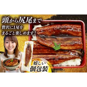 ふるさと納税 【定期便3回】 うなぎ 蒲焼 国...の詳細画像3